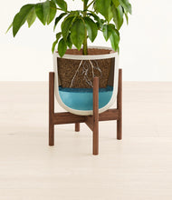 Load image into Gallery viewer, Natural Bamboo stand:walnut