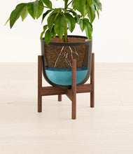 Load image into Gallery viewer, Stone Black stand:walnut