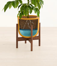 Load image into Gallery viewer, Sunset Orange stand:walnut