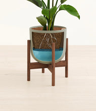 Load image into Gallery viewer, Sage Green stand:walnut