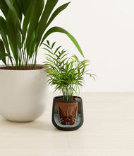 Load image into Gallery viewer, Orca stand:all