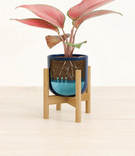 Load image into Gallery viewer, Twilight Blue stand:bamboo
