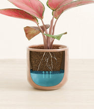 Load image into Gallery viewer, Hammered Peach Pink