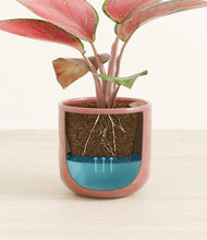 Load image into Gallery viewer, Hammered Rose Pink