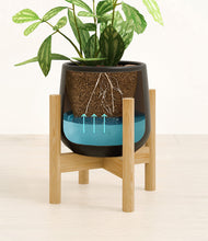 Load image into Gallery viewer, Black stand:bamboo