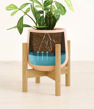 Load image into Gallery viewer, Gentle Pink stand:bamboo