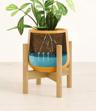 Load image into Gallery viewer, Mustard stand:bamboo