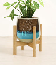 Load image into Gallery viewer, Turquoise stand:bamboo