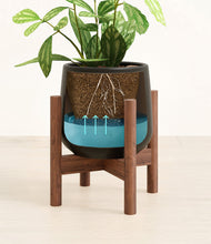 Load image into Gallery viewer, Black stand:walnut