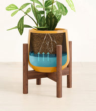 Load image into Gallery viewer, Mustard stand:walnut