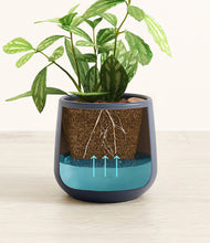 Load image into Gallery viewer, Deep Navy