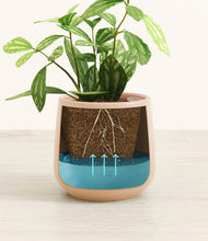 Load image into Gallery viewer, Gentle Pink