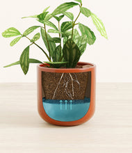 Load image into Gallery viewer, Glossy Red