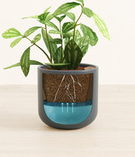 Load image into Gallery viewer, Iron Gray