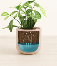 Load image into Gallery viewer, Sandy Pink