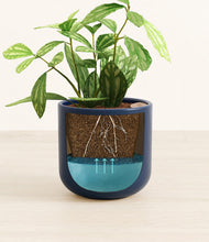 Load image into Gallery viewer, Twilight Blue