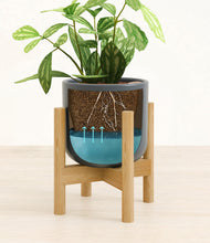 Load image into Gallery viewer, Iron Gray stand:bamboo