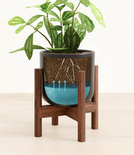 Load image into Gallery viewer, Stone Black stand:walnut