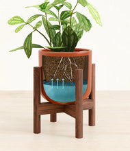 Load image into Gallery viewer, Glossy Red stand:walnut