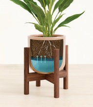 Load image into Gallery viewer, Glossy Pink stand:walnut