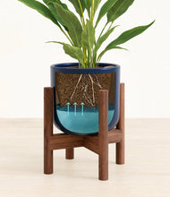 Load image into Gallery viewer, Twilight Blue stand:walnut