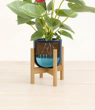 Load image into Gallery viewer, Twilight Blue stand:bamboo