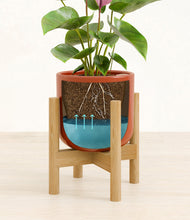 Load image into Gallery viewer, Glossy Red stand:bamboo