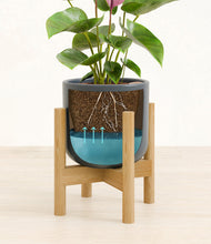 Load image into Gallery viewer, Iron Gray stand:bamboo