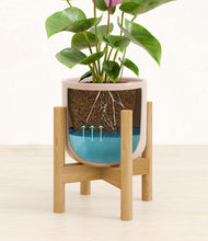 Load image into Gallery viewer, Sandy Pink stand:bamboo