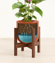 Load image into Gallery viewer, Glossy Red stand:walnut