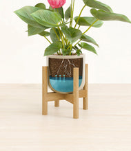 Load image into Gallery viewer, Sage Green stand:bamboo