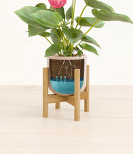 Load image into Gallery viewer, Sandy Pink stand:bamboo