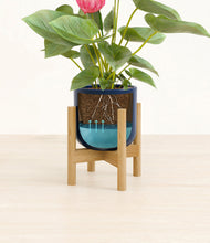Load image into Gallery viewer, Twilight Blue stand:bamboo