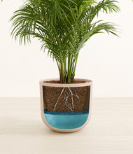 Load image into Gallery viewer, Sandy Pink