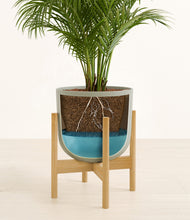 Load image into Gallery viewer, Sage Green stand:bamboo