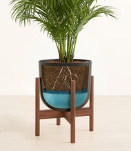 Load image into Gallery viewer, Stone Black stand:walnut