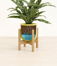 Load image into Gallery viewer, Key Lime Yellow stand:bamboo