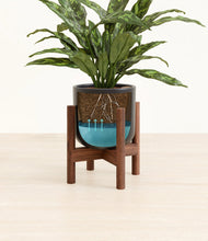 Load image into Gallery viewer, Stone Black stand:walnut