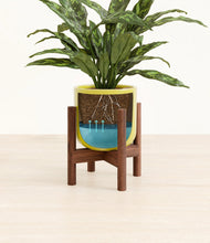 Load image into Gallery viewer, Key Lime Yellow stand:walnut