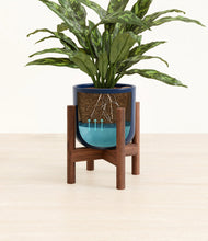 Load image into Gallery viewer, Twilight Blue stand:walnut