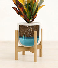 Load image into Gallery viewer, Cotton White stand:bamboo