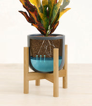 Load image into Gallery viewer, Iron Gray stand:bamboo