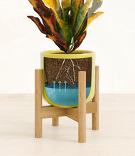 Load image into Gallery viewer, Key Lime Yellow stand:bamboo