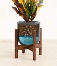 Load image into Gallery viewer, Iron Gray stand:walnut