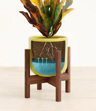 Load image into Gallery viewer, Key Lime Yellow stand:walnut