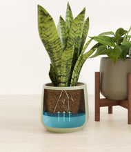 Load image into Gallery viewer, Earthy stand:one_stand