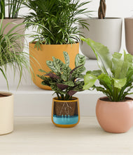 Load image into Gallery viewer, Evening Sky