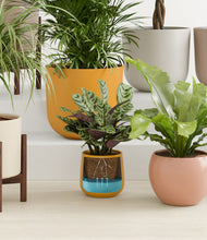 Load image into Gallery viewer, Evening Sky stand:five_stands