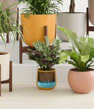 Load image into Gallery viewer, Evening Sky stand:eight_stands