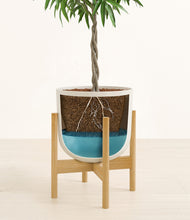Load image into Gallery viewer, Natural Bamboo stand:bamboo